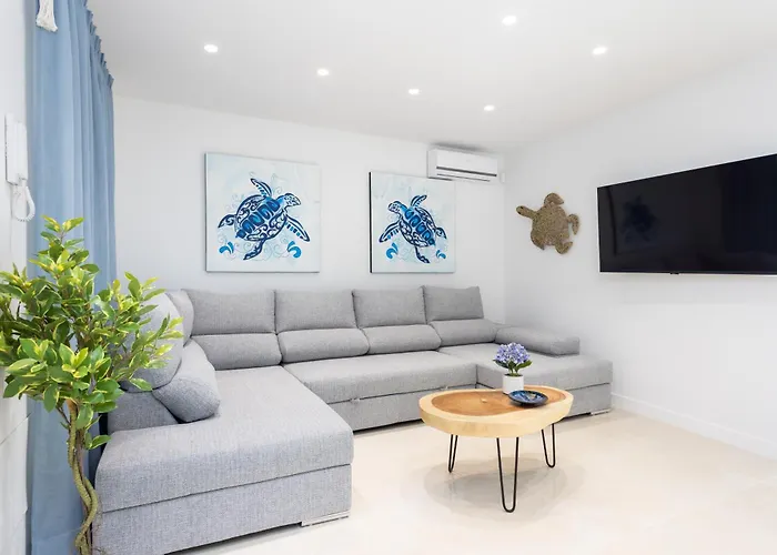 La Tortuga Azul C