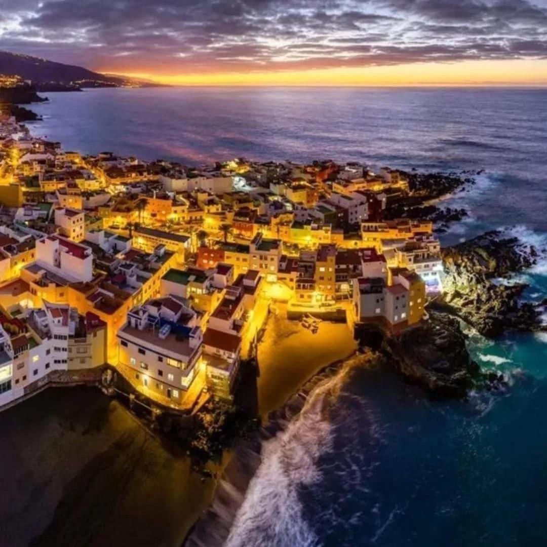 La Tortuga Azul C *